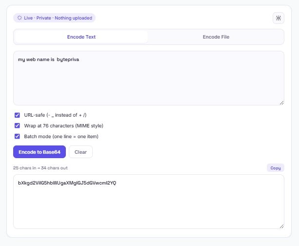 base64 encoder tool showing text encoding and file upload with image preview